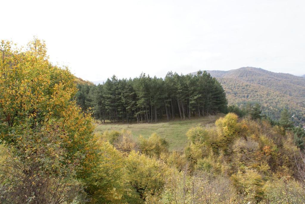 Takht House Villa Dilijan Rom bilde